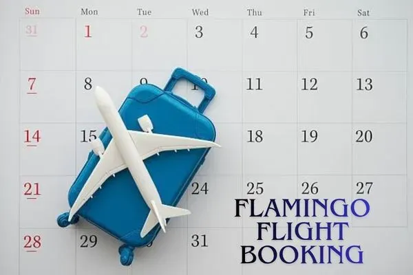 flamingo flight booking