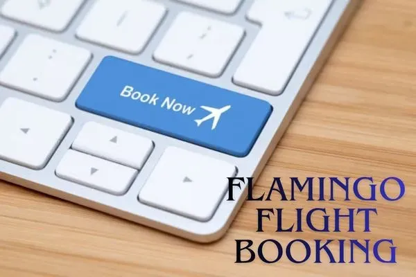 flamingo flight booking: Book Your Flight easily